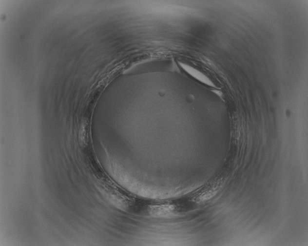 X0000068840266200605261648