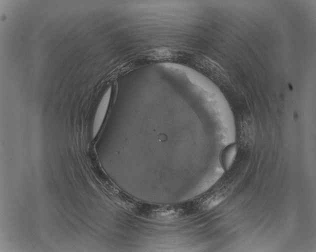 X0000068840267200605261648