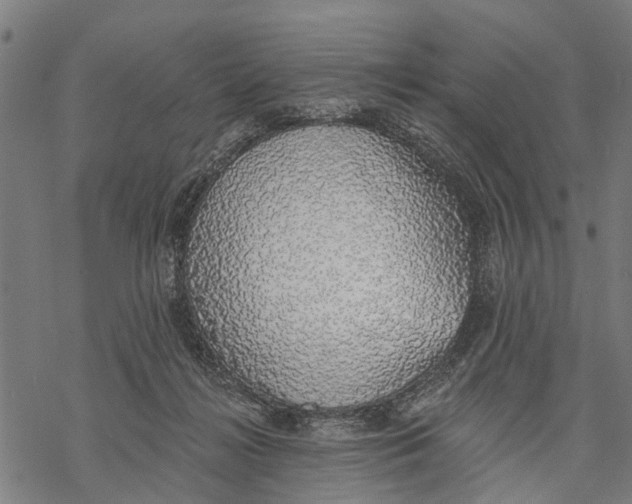 X0000068840268200605261648