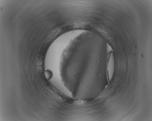 X0000068840269200605261648