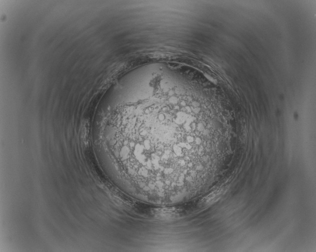 X0000068840273200605261648