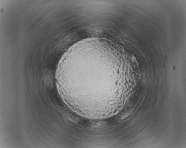 X0000068840274200605261648