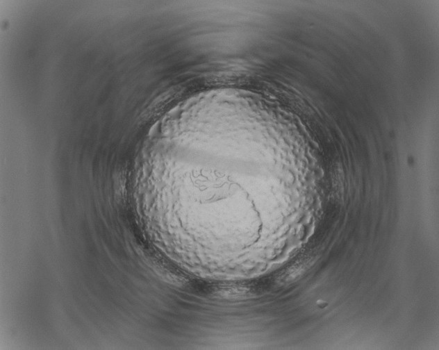 X0000068840278200605261648