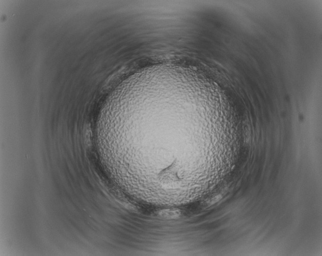 X0000068840279200605261648