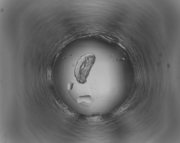 X0000068840281200605261648