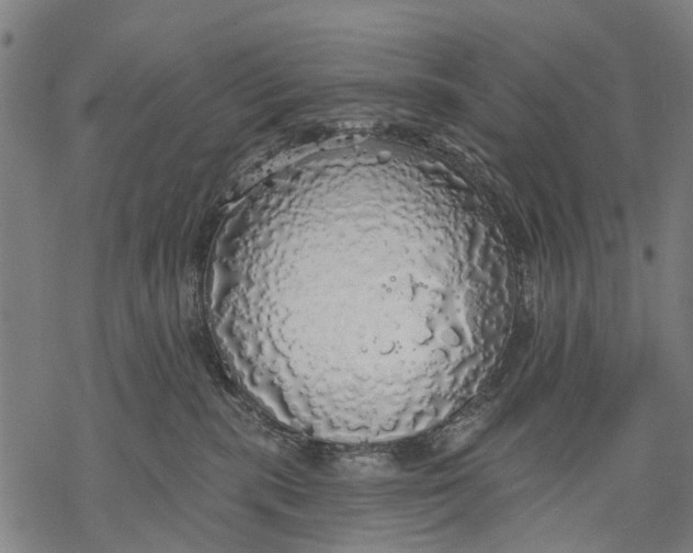 X0000068840283200605261648