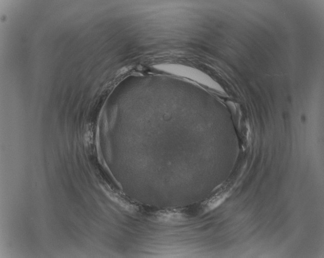 X0000068840284200605261648