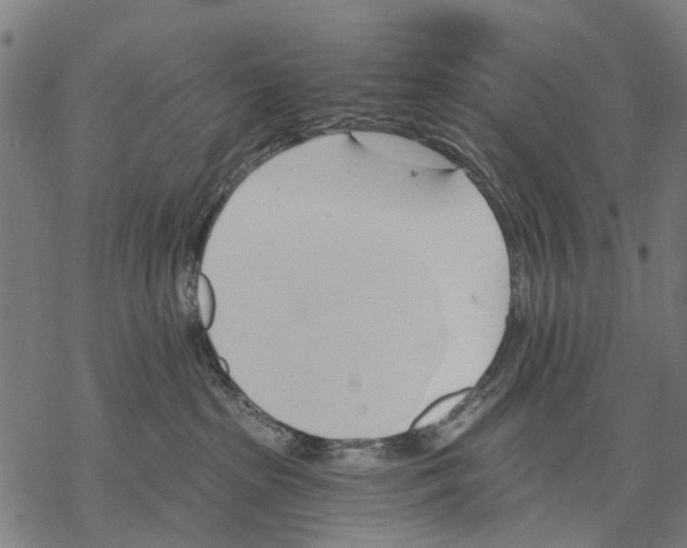 X0000068840285200605261648