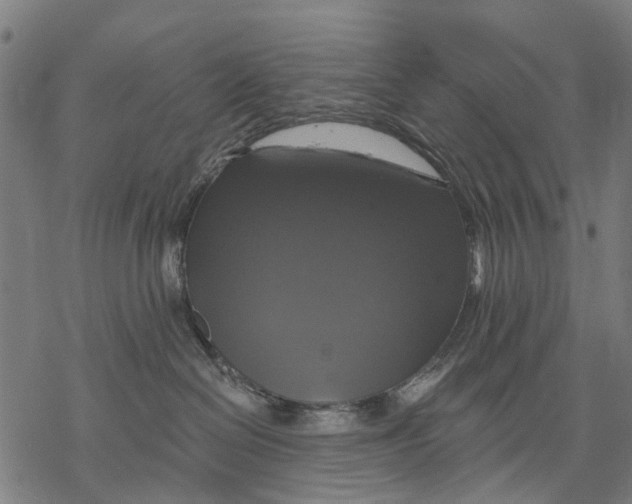 X0000068840286200605261648