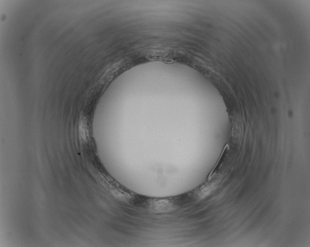 X0000068840287200605261648