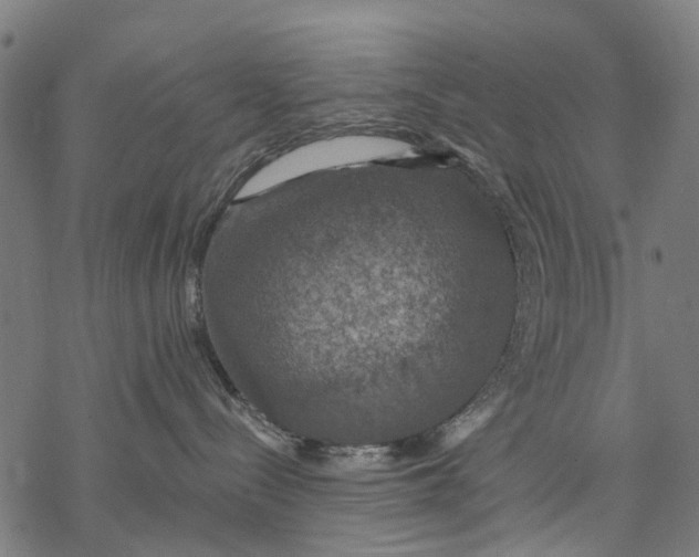 X0000068840288200605261648