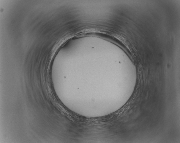 X0000068840289200605261647