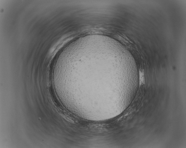 X0000068840291200605261647