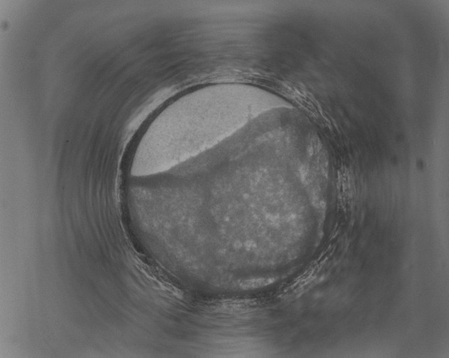 X0000068840292200605261647