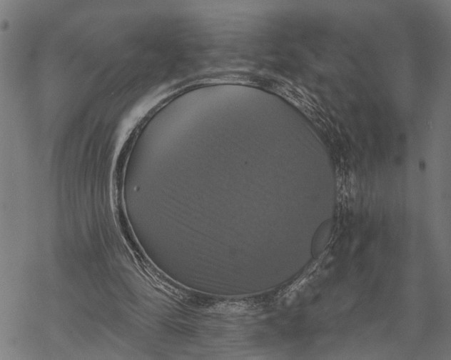 X0000068840294200605261647