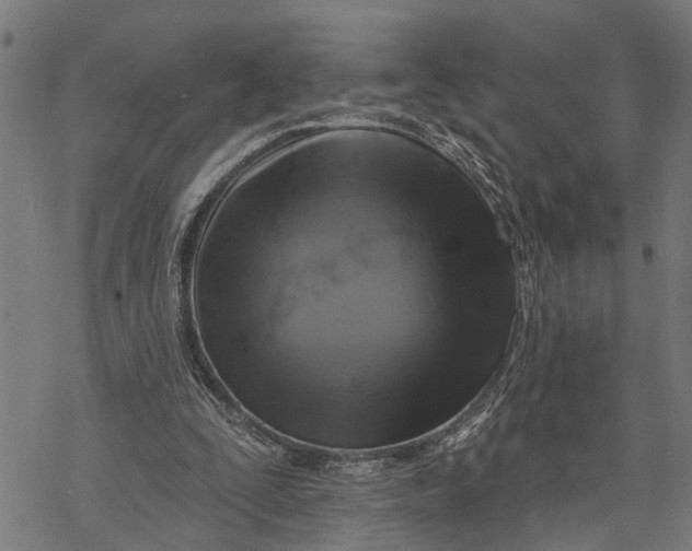 X0000068840295200605261647