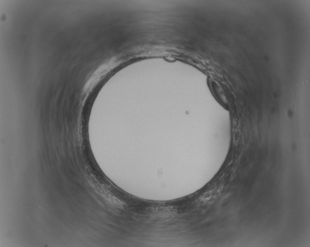 X0000068840296200605261647