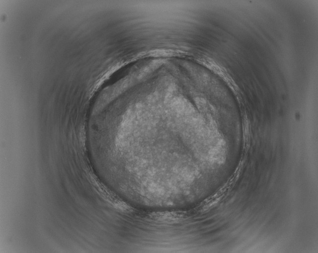 X0000068840297200605261647