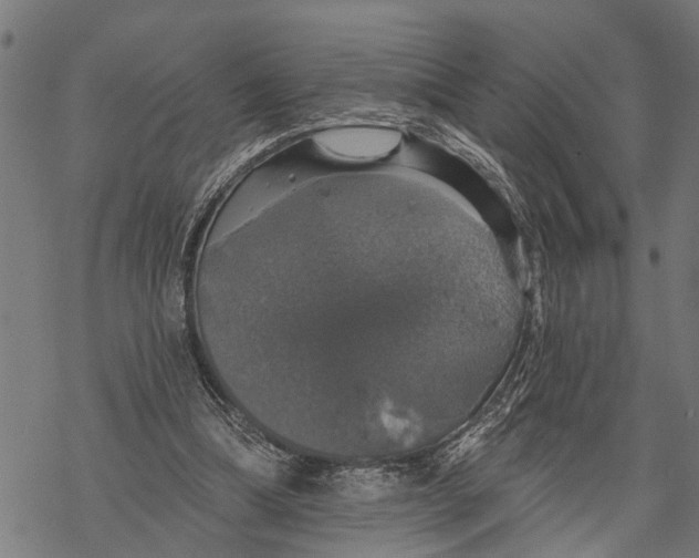 X0000068840298200605261647