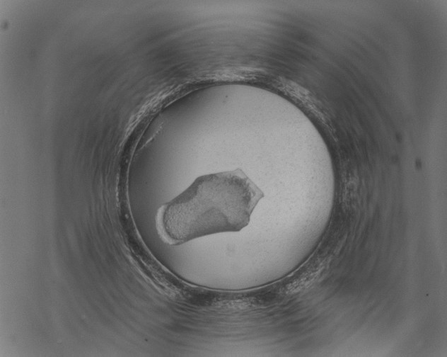 X0000068840299200605261647