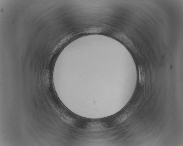 X0000068840300200605261647