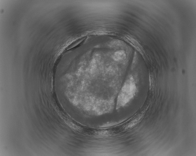 X0000068840301200605261647