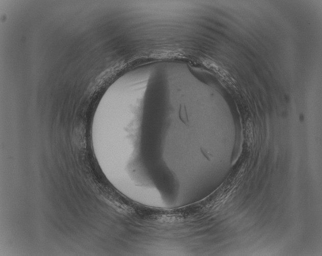 X0000068840303200605261647