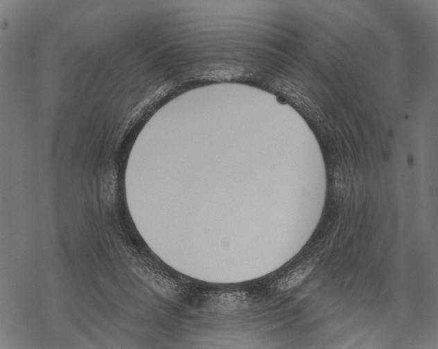 X0000068840304200605261647