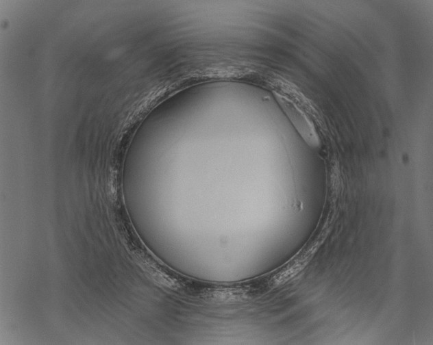 X0000068840305200605261647