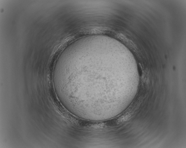 X0000068840306200605261647