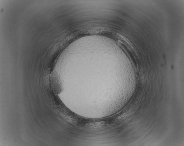 X0000068840307200605261647