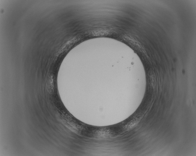 X0000068840308200605261647