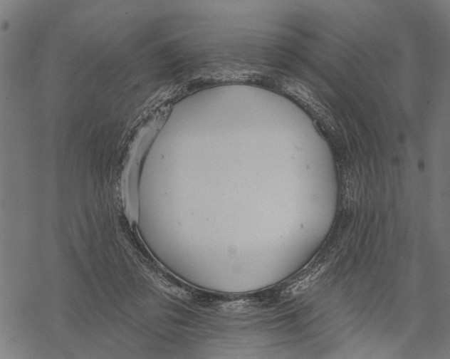 X0000068840309200605261647