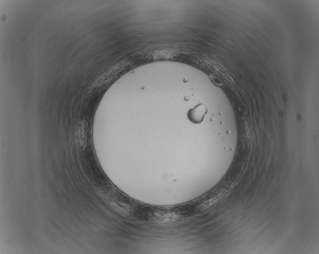 X0000068840311200605261647