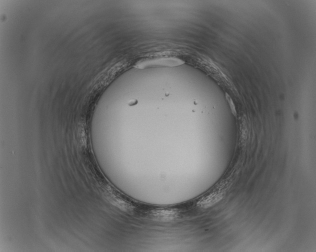 X0000068840313200605261647