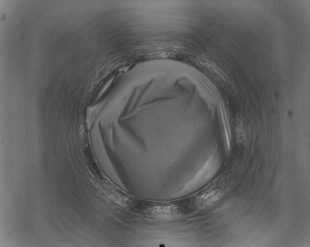 X0000068840314200605261647