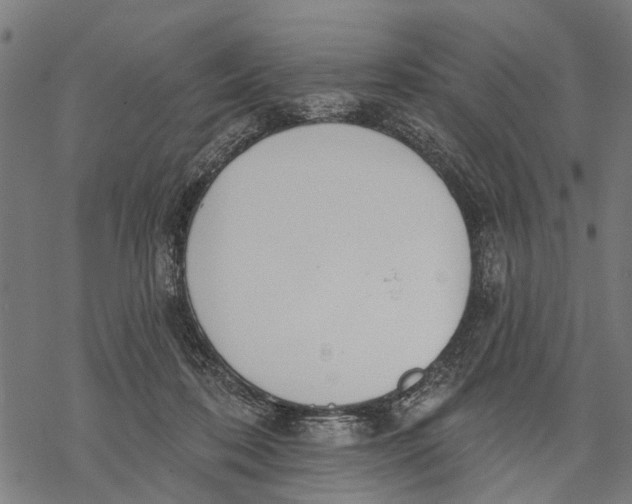 X0000068840316200605261647