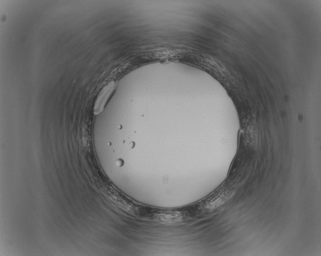 X0000068840317200605261647