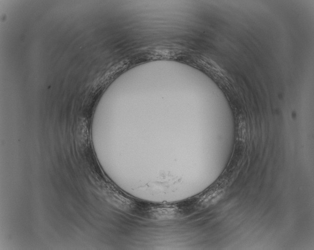 X0000068840318200605261647