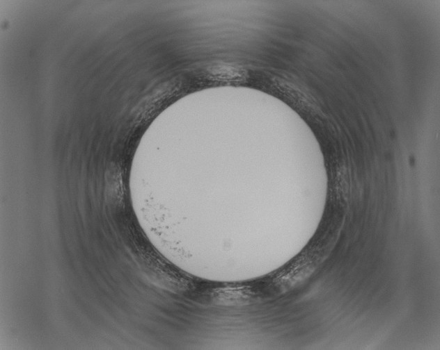 X0000068840320200605261647