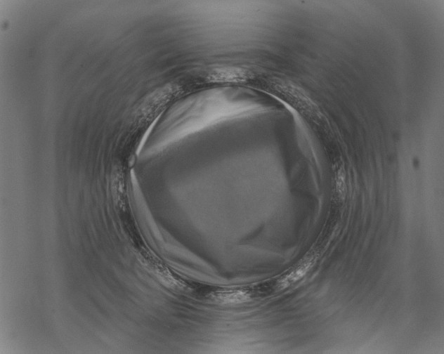 X0000068840322200605261647