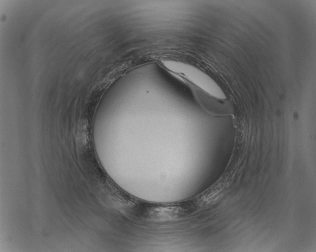 X0000068840323200605261647