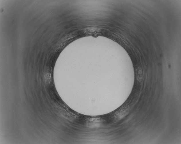 X0000068840324200605261647