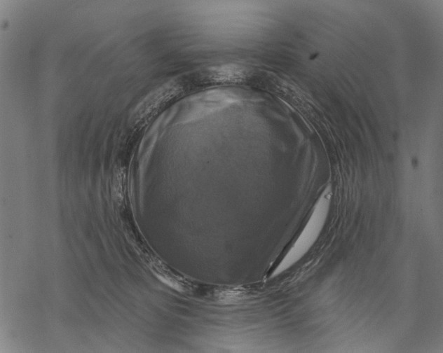 X0000068840325200605261647