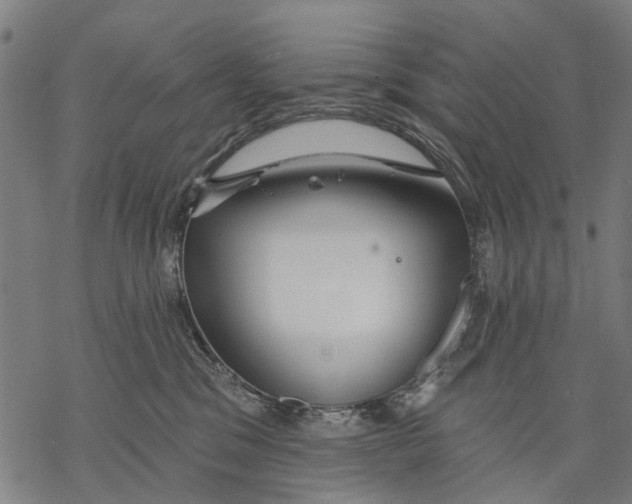 X0000068840329200605261647