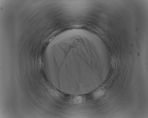 X0000068840330200605261647