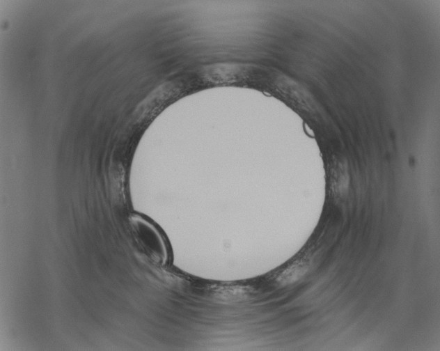 X0000068840332200605261647