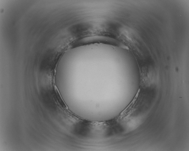 X0000068840333200605261647