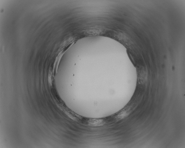 X0000068840334200605261647