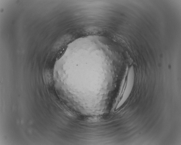 X0000068840335200605261647